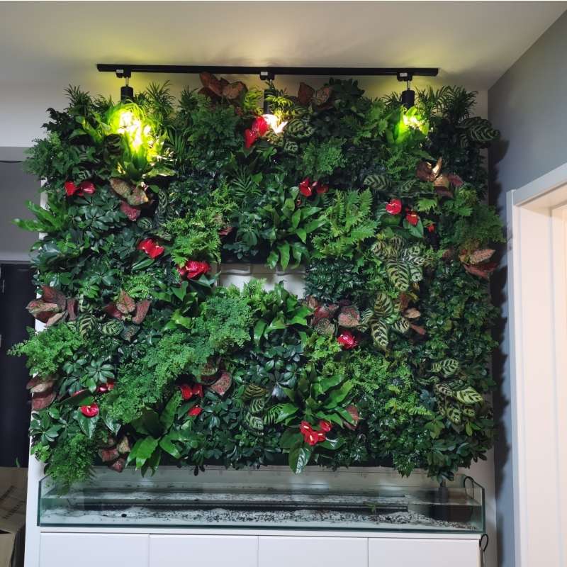 鱼植共生移动植物墙屏风花架养鱼种菜立体菜园生态鱼缸背景种植架
