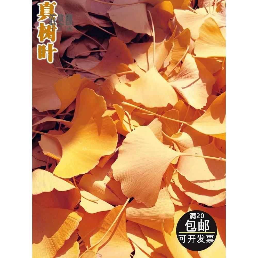 50片真树叶自然落叶银杏叶干花枯叶子金色标本书签DIY手工粘贴画