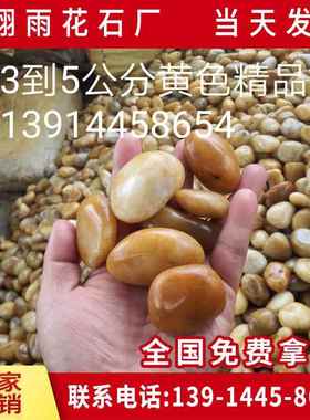 黄色抛光鹅卵石 园林铺路造景黄色亮光雨花石 鱼缸水池垫底石