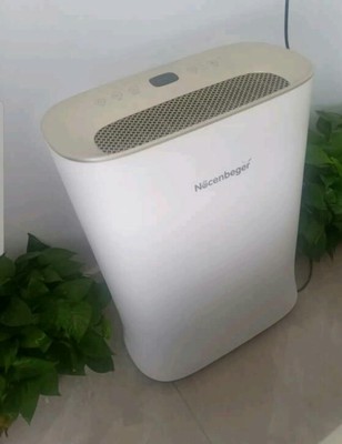 诺森柏格空气净化器怎么样?用在新房去异味行不?