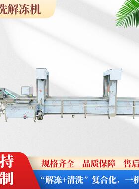 商用大型清洗解冻机器海鲜冷冻肉快速解冻设备鸡腿牛肉气泡解冻机