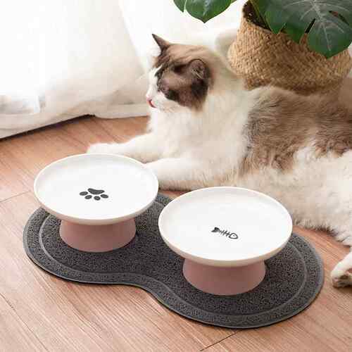 猫粮碗狗碗防打翻猫咪饭盆护颈宠物喝水碗吃饭高脚猫食盆