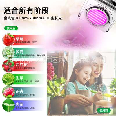 新款跨境全光谱COB植物生长灯50W/60WLED大棚蔬菜种植多肉补光灯