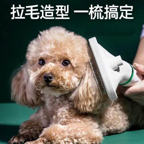 S6Y宠物吹风机狗狗拉毛一体机小猫咪洗澡专用比熊泰迪梳毛烘干机