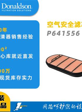 唐纳森蜂窝滤芯 发动机空滤 P641556 空气滤芯 安全滤芯