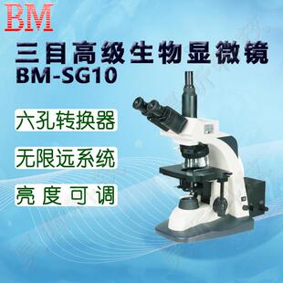 BM彼爱姆三目高级生物显微镜BM SG10D六孔转换器目镜1016倍
