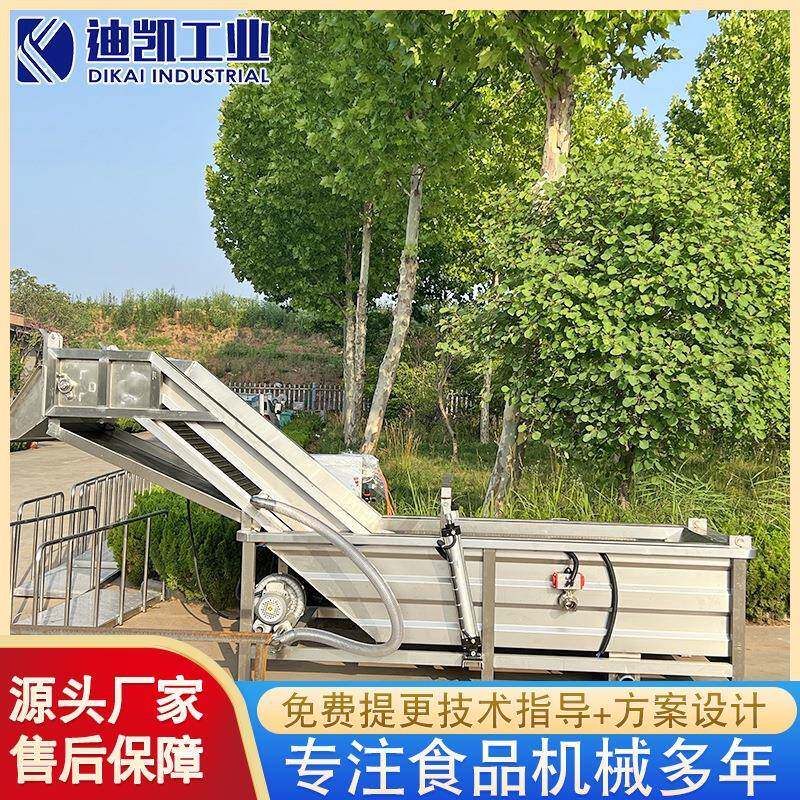 厂家现货销售玉米棒加工流水线香菇清洗机 速冻玉米前处理设备