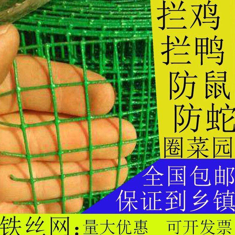 小孔铁丝网围栏网养殖网家用小鸡鸭铁网防鼠防蛇钢丝网鱼塘护栏网