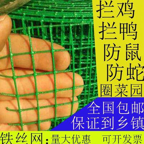 小孔铁丝网围栏网养殖网家用小鸡鸭铁网防鼠防蛇钢丝网鱼塘护栏网