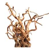 水景木产地根造景沉栖水族箱天然造景杜鹃草莫斯批发树装 饰缸根木