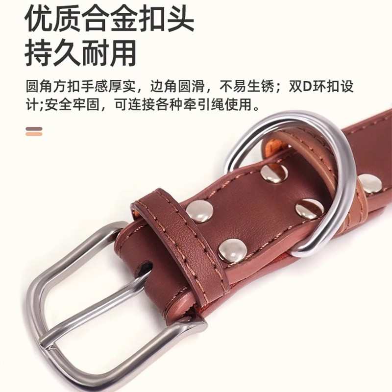 刻字项圈狗牌定做身份牌定制猫牌狗狗小型犬柯基泰迪比熊铃铛脖圈
