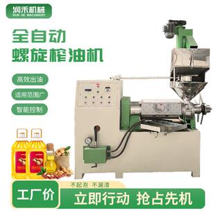 商业榨油机全自动小型家用 商用大型多功能榨油机精炼设备花生新款