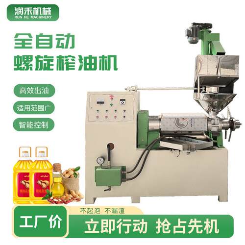 小型商业用榨油机全自动家用核桃芝麻液压榨油机大型食用油精炼机