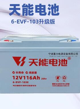 天能6EVF-100AH12V116免维护扫地机蓄电池电动汽车升降机平台电瓶