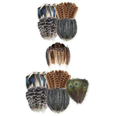 Crafts Feathers Colors Feathers for DIY Craft Stage