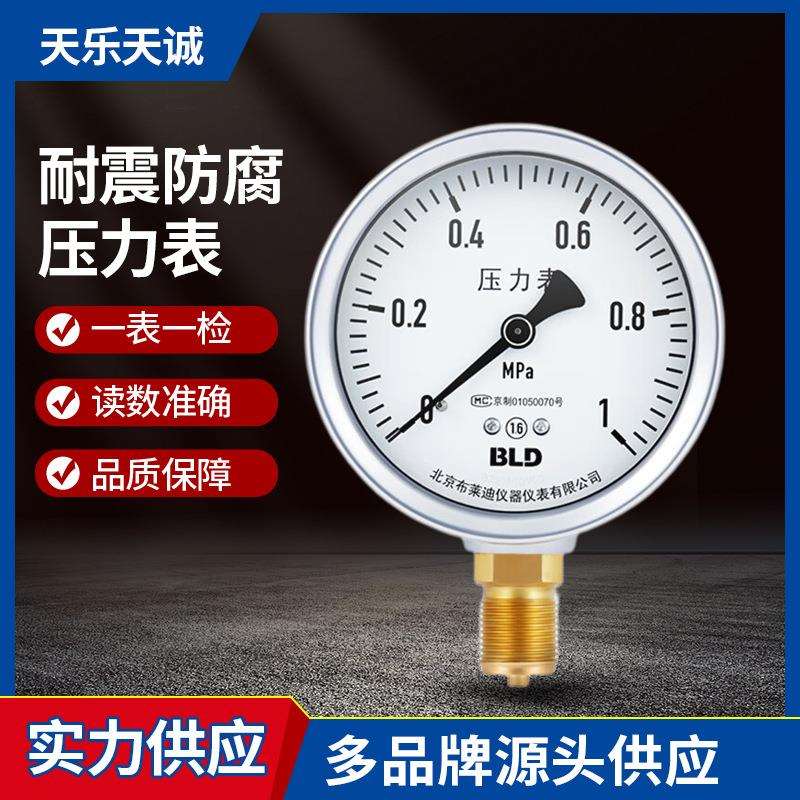 耐震压力表YTN-100 0~1MPa1.6级测量精准液压表头充硅油压力表
