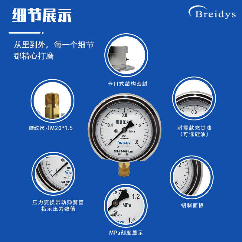 径向带后边耐震压力表YN100T高精度气压液压油压压力表1.6MPa