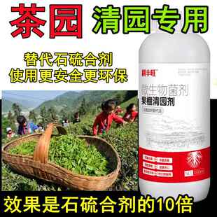 茶园清园剂茶叶专用药代替石硫合剂杀菌杀卵杀螨清棚药茶树清园药