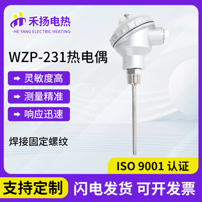 WZP-231防水接线盒测温探头K热电偶Pt100热电阻 一体化温度变送器