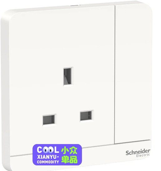 Schneider 施耐德 E8315_WE_C5 13A