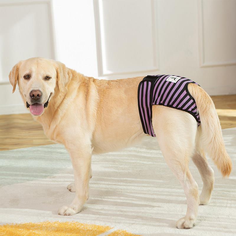 宠物生理裤中大型犬边牧阿拉斯加胖狗月经裤狗狗防骚扰狗狗姨妈裤