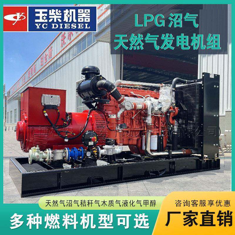 天然气沼气玉柴200kw发电机组全铜无刷LPG多燃料应急发电机三相