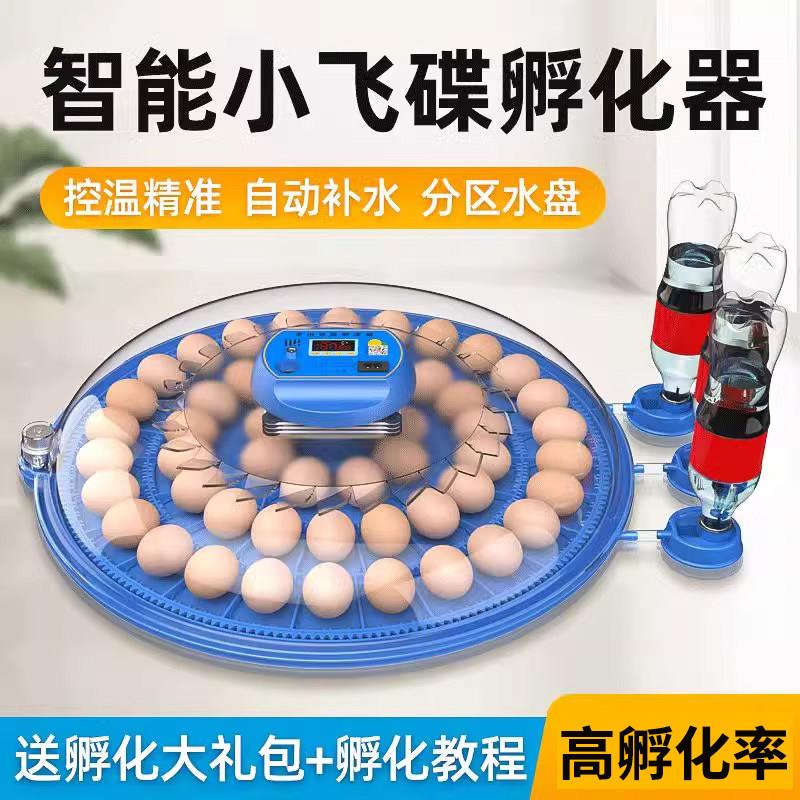 小型家用型孵化机孵蛋器芦丁鸡小飞碟孵化器鹦鹉小鸡全自动孵化箱