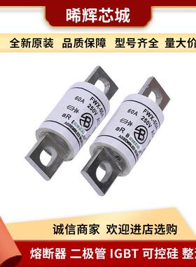 现货FWX-60A FWX-80A 型号齐全 标准封装巴斯曼直流快速熔断器