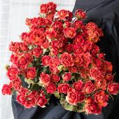 玫瑰干花真花风干天然轻奢花束diy材料装 饰摆件桌面北欧家居摆设