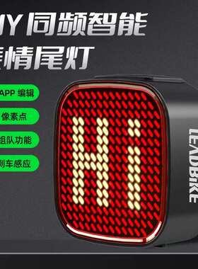 厂家直销leadbike新品DIY同频智能表情尾灯手机APP版刹车感应双支