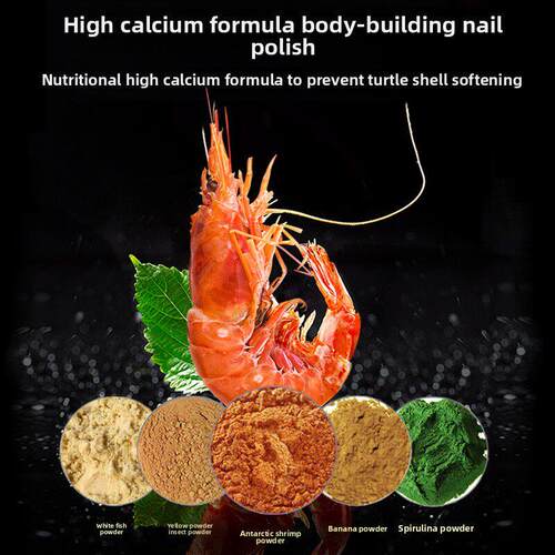 龟食石钱龟食南方石龟专用龟食石龟钱龟食孵化开放食