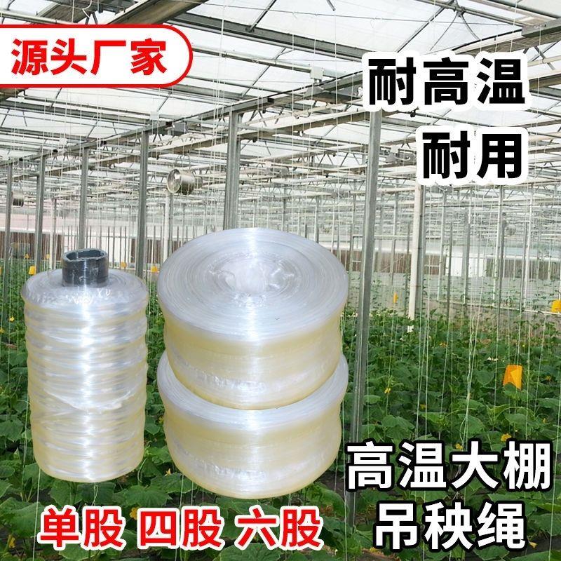耐高温大棚吊菜绳防老化塑料捆扎绳网状平板吊蔓绳子吊秧绳吊带