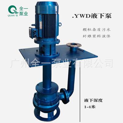 WD液下水渣浆泵污提升器潜污泵污水提升RLG泵Y潜水排离污泵心污水
