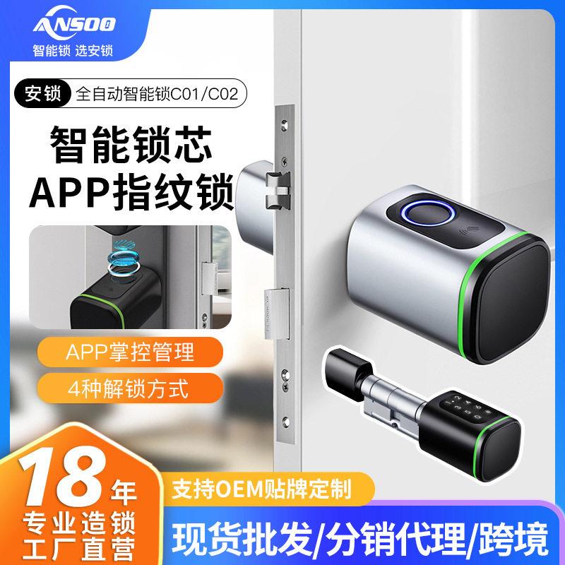 定制指纹密码智能锁芯铝合金涂鸦蓝牙免布线家用电子锁芯替换跨境