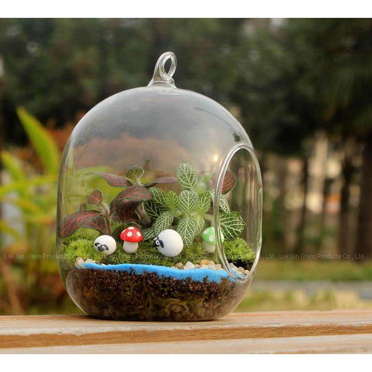 苔藓微景观玻璃瓶 创意迷你植物DIY盆栽办公室摆件 多肉花瓶