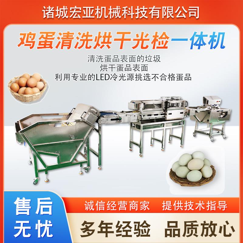 养殖场鸡蛋清机全自动松花蛋清洗机鸭蛋鸡蛋清洗烘干光检一体机