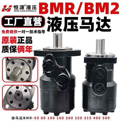 油马达BMR-50 80 100 160 200 250 315 400 500模具液压摆线马达