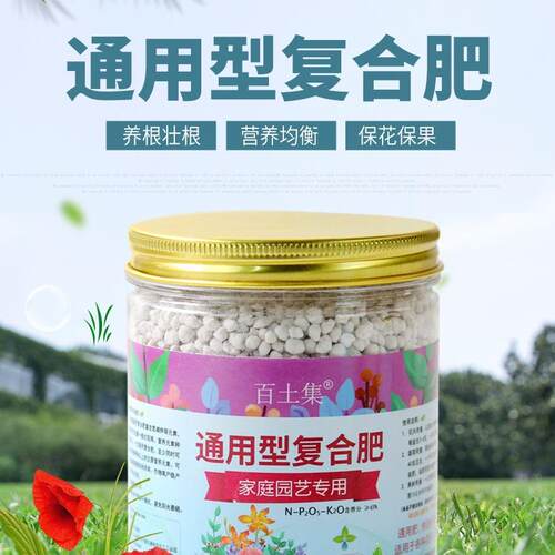 多肉花盆陶瓷清仓捡漏大号口径家用肉肉植物长方专用花盆价