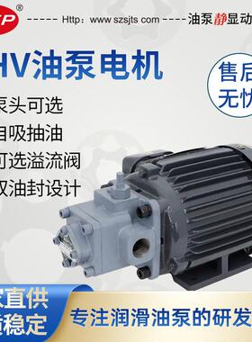 厂家直销摆线泵润滑油泵电机TOP-2ML400-2HV20-VO马达油泵