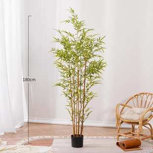摆件   葵宿橄榄树绿竹子室内散大型仿真植造景尾装饰民盆栽客厅
