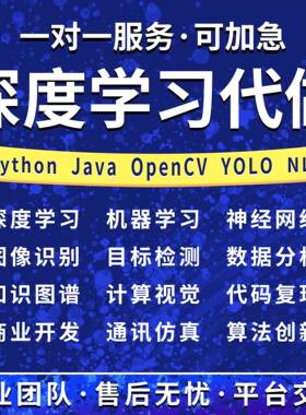 Python深度学习yolo目标检测Java系统代做c++代码小程序定制R接单