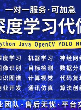 Python深度学习yolo目标检测Java系统代做c++代码小程序定制R接单