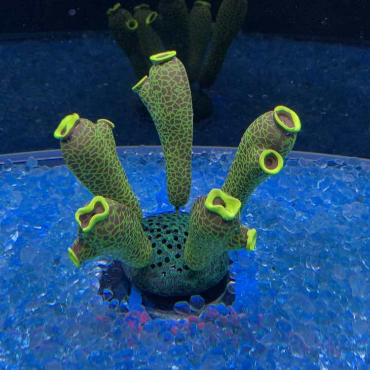 海底新款夜光硅胶花朵仿真软体包珊瑚造景邮装饰水草摆件植物鱼缸