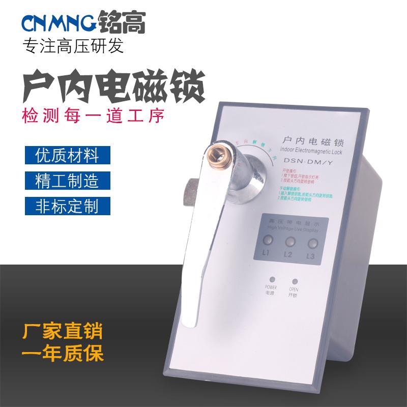 厂家直供高压开关柜电磁锁DSN-DMY系列电磁门锁手柄式带显示功能