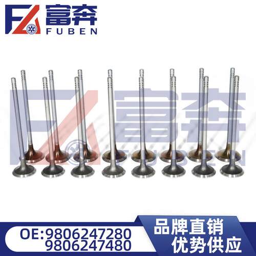 0949E298062474800948E89806247280适用标致雪铁龙进气排气门