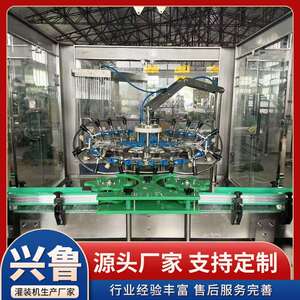 24头翻转式洗瓶机内外清洗高效节能饮料瓶酒瓶冲洗机瓶类清洁设备