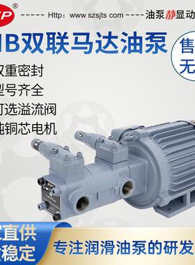 厂家直销一体型双联泵TOP-208HBM+210HB马达双联泵摆线泵
