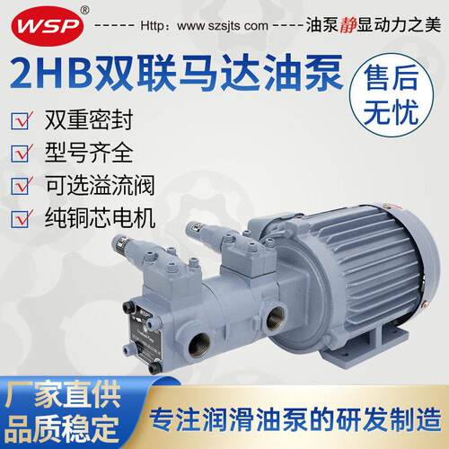 厂家直销一体型双联泵TOP-208HBM+210HB马达双联泵摆线泵