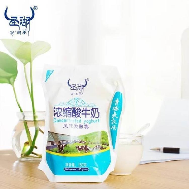 青海湖乳业圣湖酸奶青海风味浓缩酸牛奶180g*12原味青海老酸奶