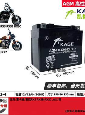 GT12-4雷克RX3 RX3B RX7 650雷卡迪V300 电瓶12v12ah摩托车蓄电池